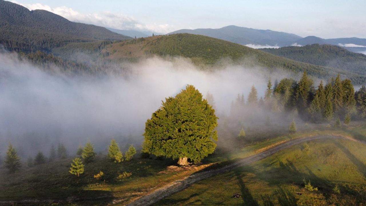 Отель Kam In Krivopol'ye Экстерьер фото